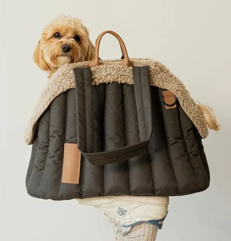 Dog inside a grey pet carrier with a beige interior on a plain background
