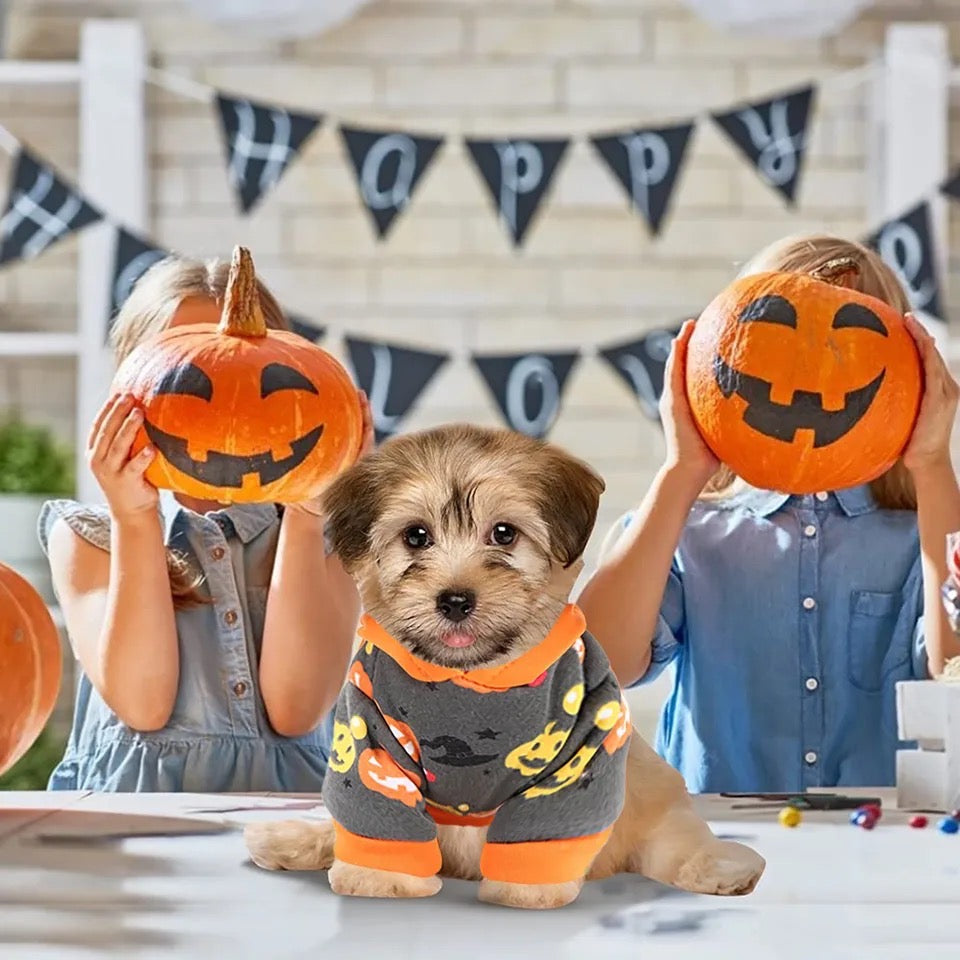 Dog wearing a Halloween costume with two children holding pumpkins behind it, with 'Happy Halloween' banner in the background.
