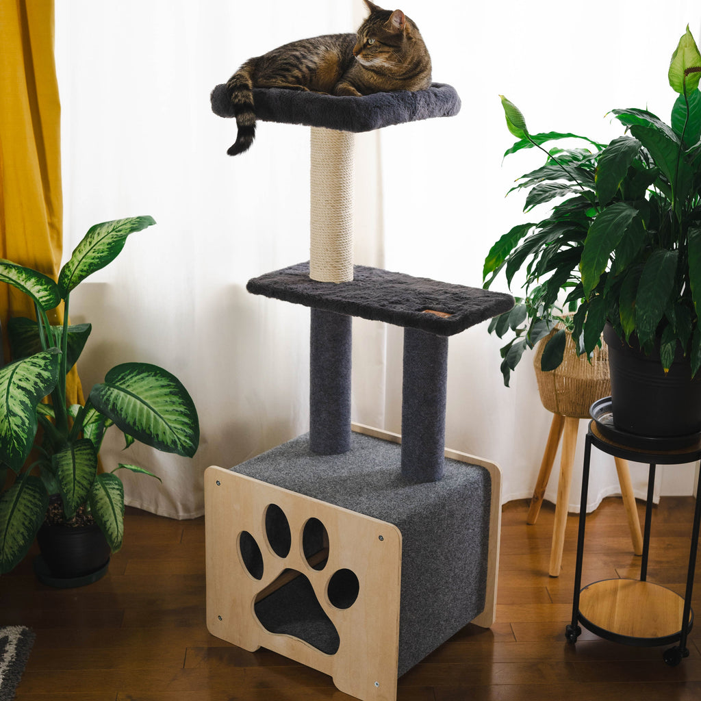 Cat sitting on a multi-level cat tree with plants and a plant stand in the background.