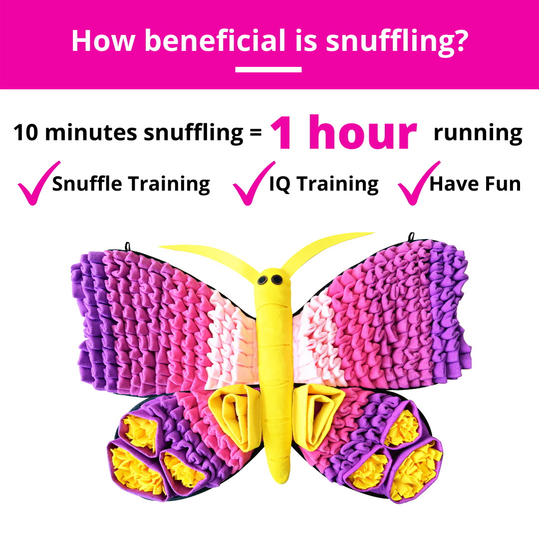Butterfly-shaped toy with text about snuffling benefits on a pink and white background