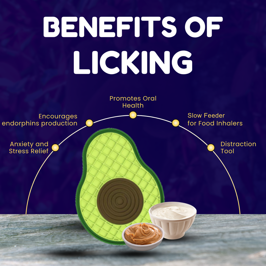 Avocado-shaped pet toy with benefits listed on a blue background