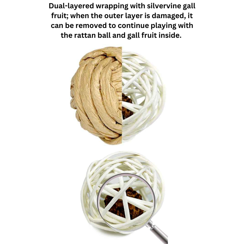 Dual-layered wrapping with silvervine gall fruit and rattan ball on a white background.