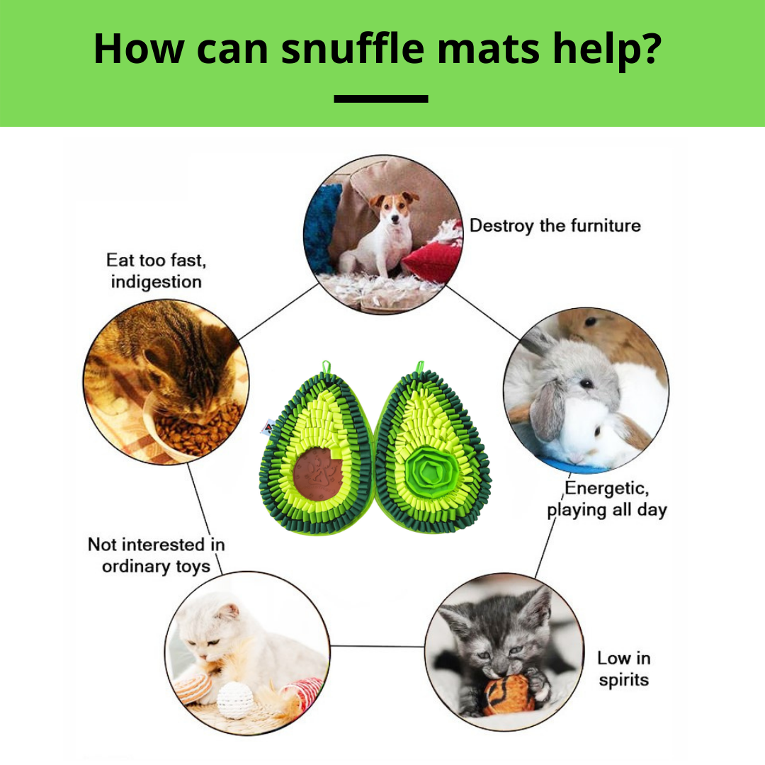 Diagram showing how snuffle mats can help pets with various issues like eating habits, destructiveness, and play behavior.