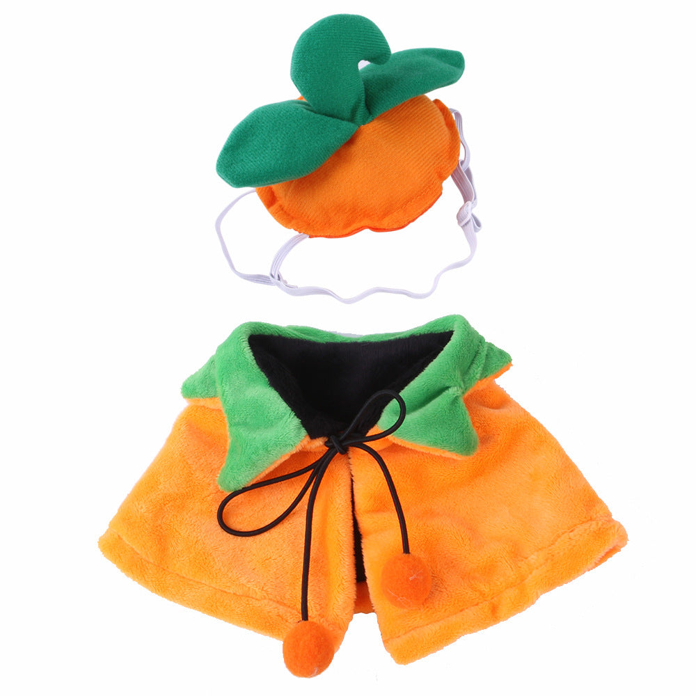 Pet Halloween costume with pumpkin design on a white background