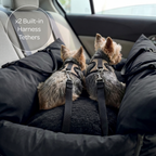 Two dogs in a car seat with built-in harness tethers.
