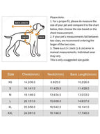 Dog size chart with measurements for chest, neck, and back length on a white background.