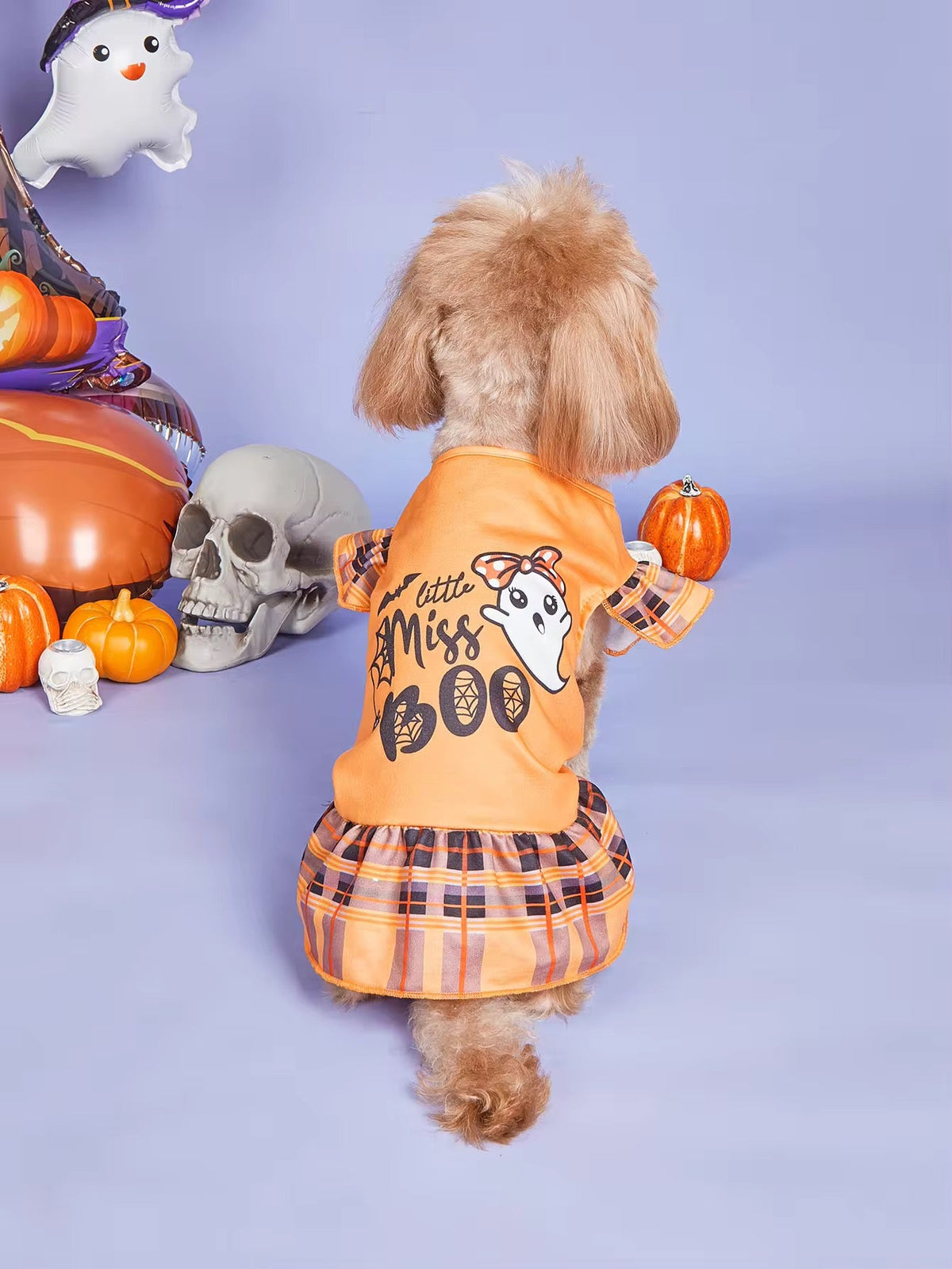 Dog wearing a Halloween-themed outfit with pumpkins and ghosts on a purple background