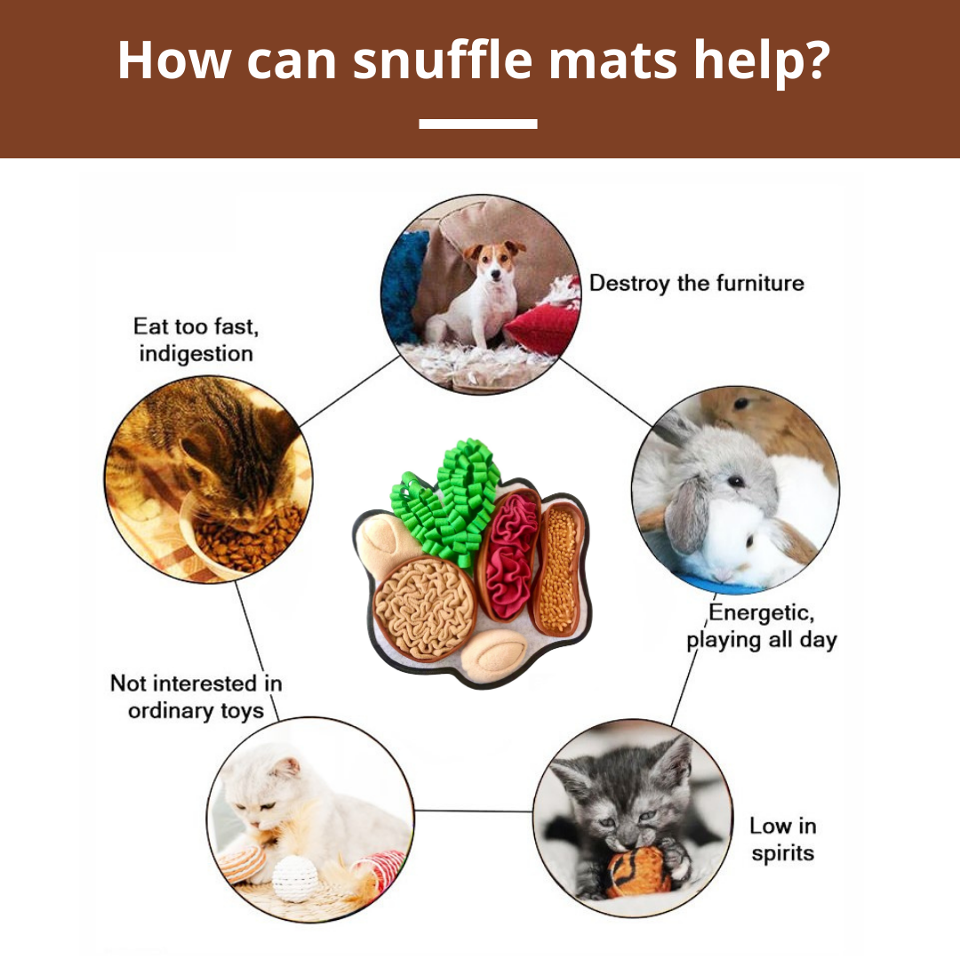 Diagram showing how snuffle mats can help pets with various issues like eating habits, destructiveness, and play behavior.
