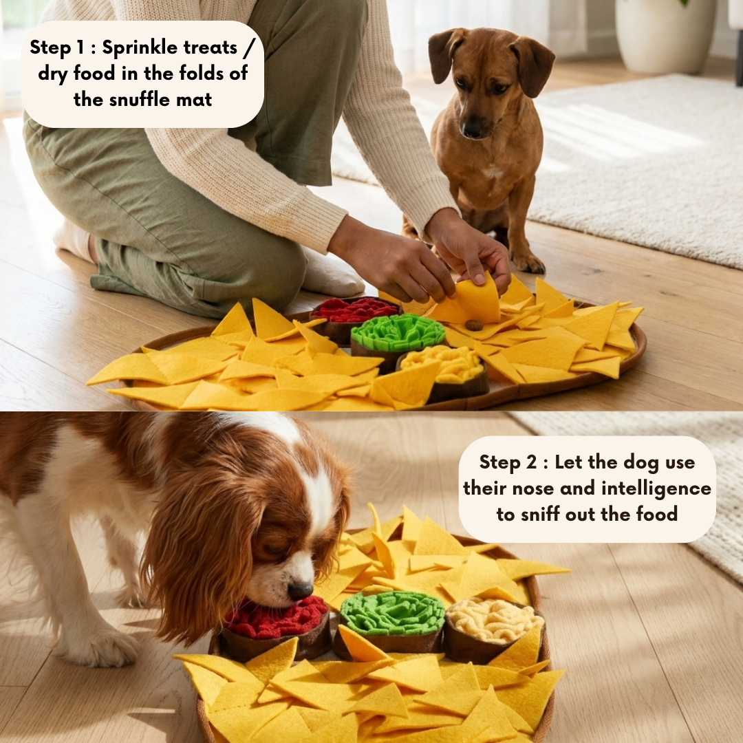 Dog playing with a snuffle mat filled with treats on a wooden floor.