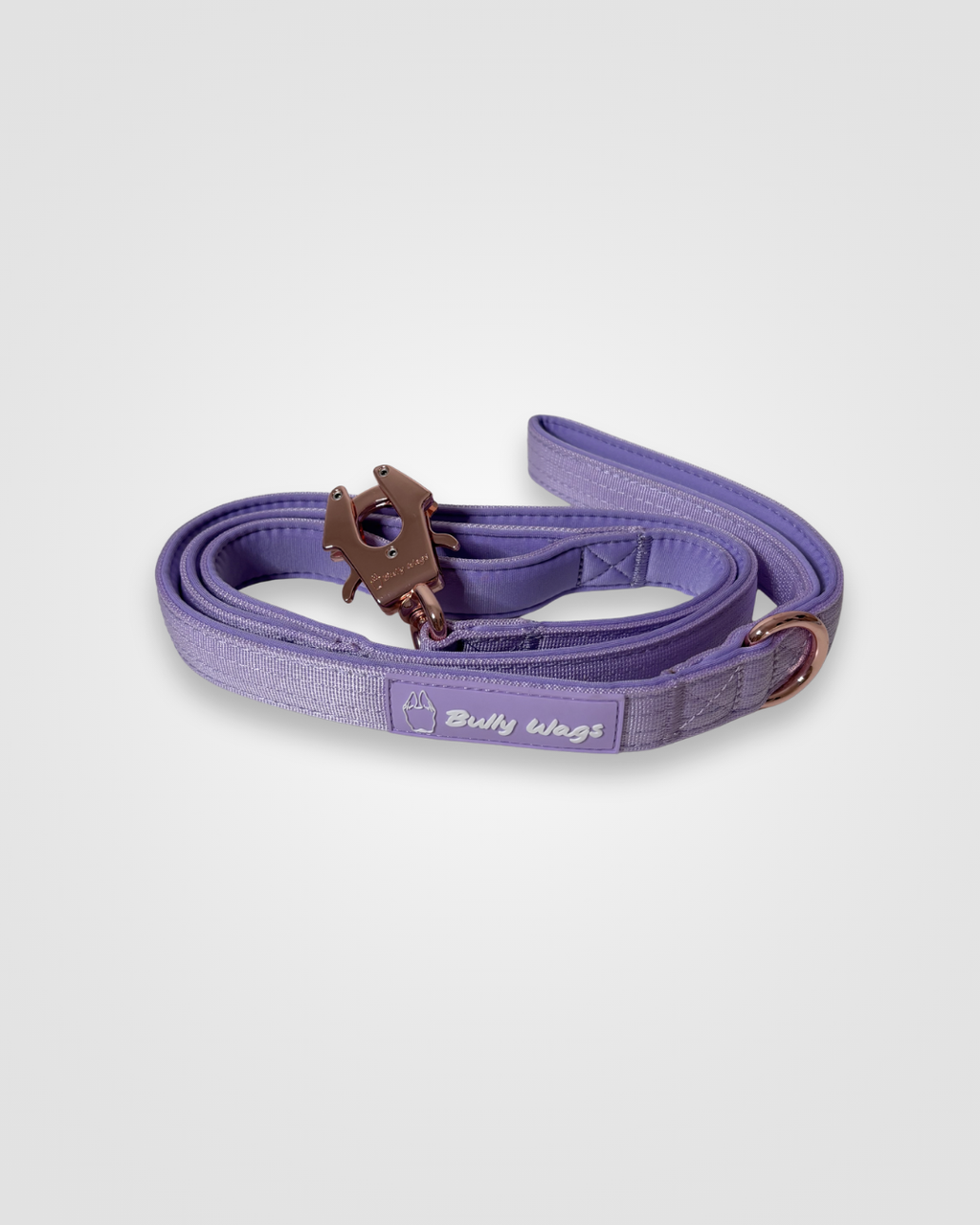 Purple dog leash with brown clip on a white background