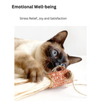 Cat playing with a toy, emphasizing emotional well-being, stress relief, joy, and satisfaction.