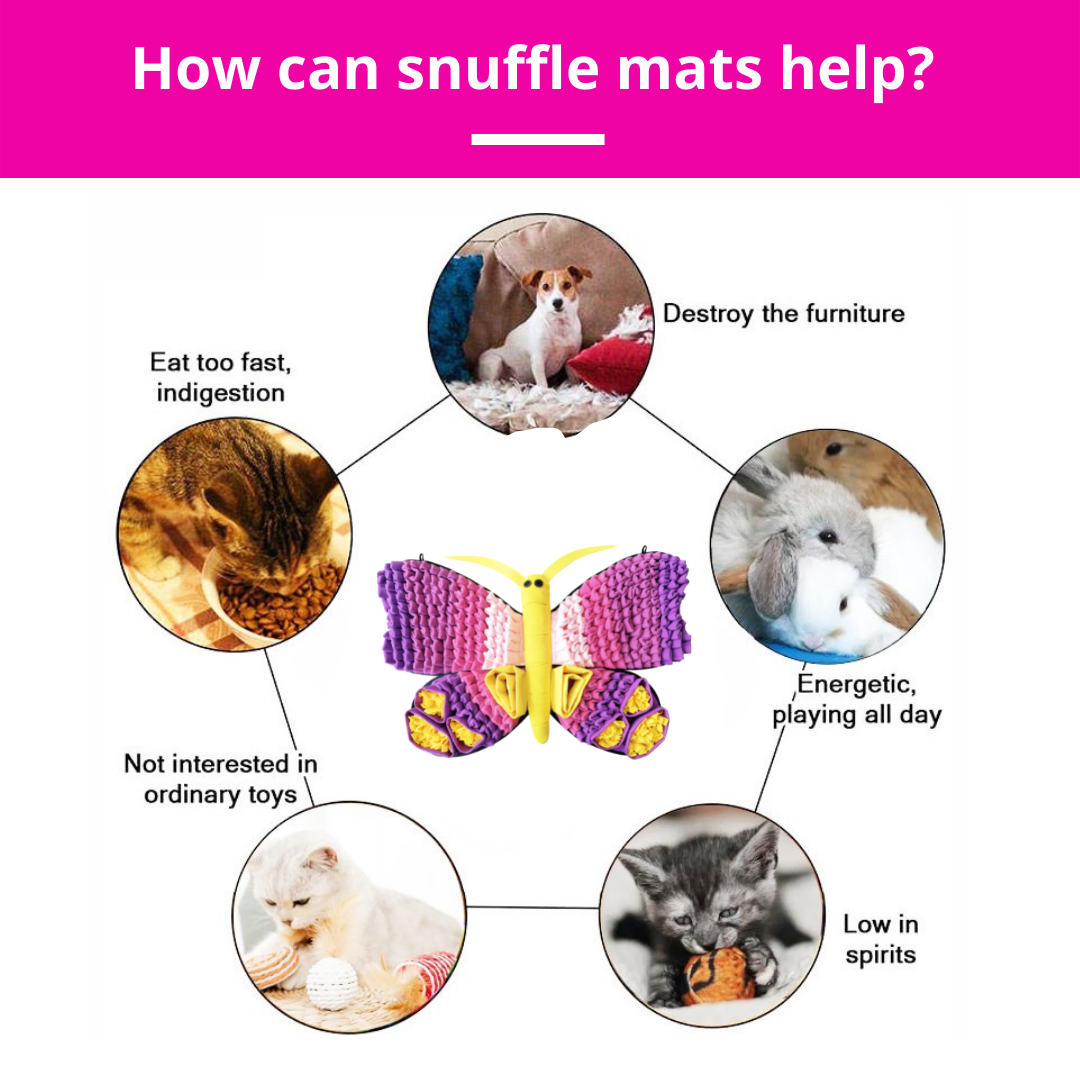 Diagram showing how snuffle mats can help pets with various issues like eating too fast, destroying furniture, not playing with toys, and more.