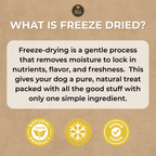 An informational graphic on a kraft-paper background explaining what freeze-dried means for dog treats. The text reads: 'WHAT IS FREEZE DRIED?' followed by a boxed definition about removing moisture and locking in nutrients, flavor, and freshness.