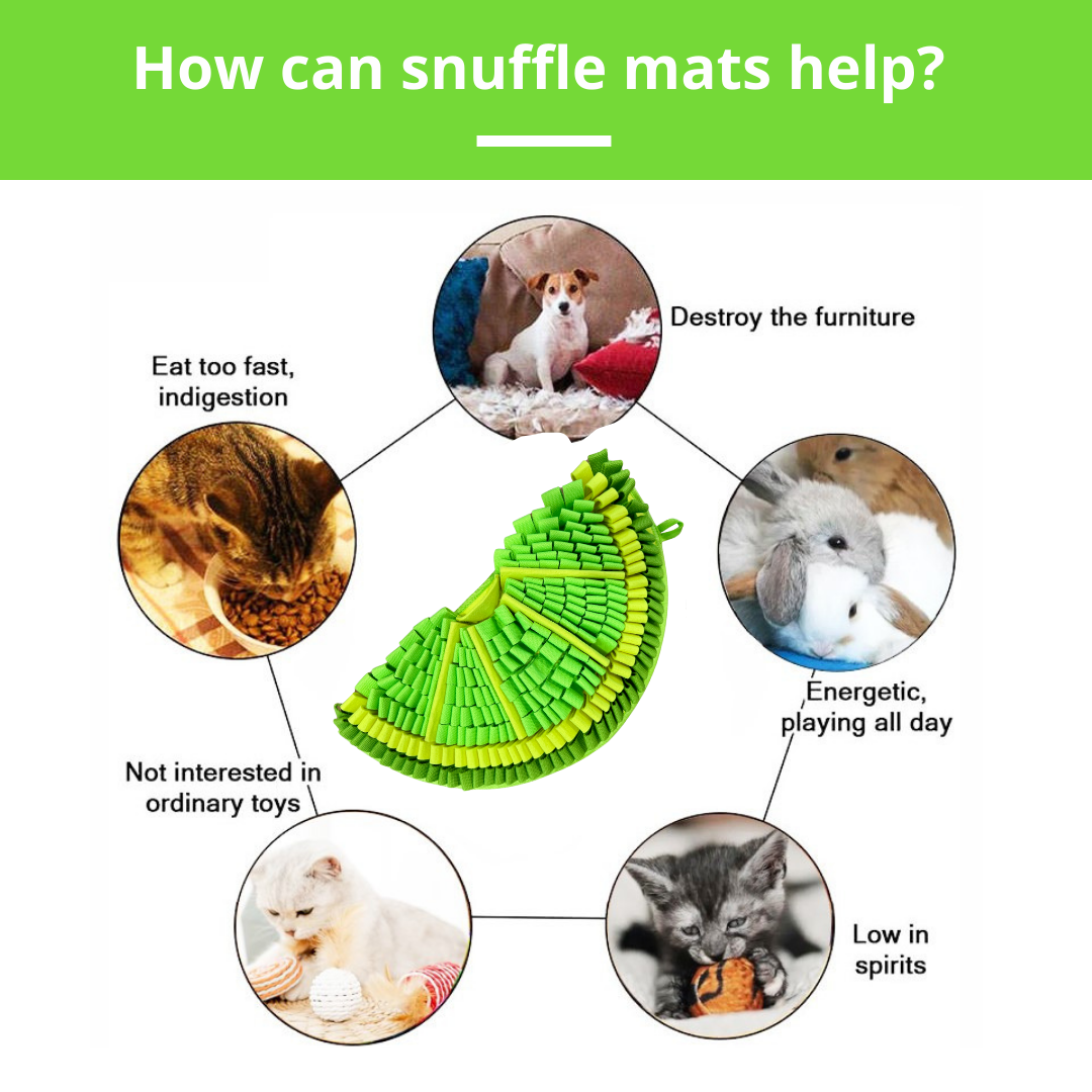 Snuffle mat with images of animals and text explaining its benefits