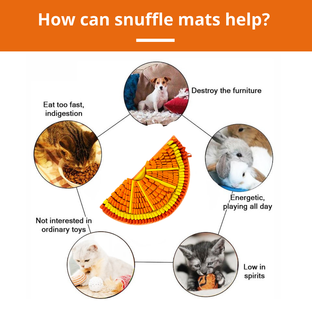 Diagram showing how snuffle mats can help pets with various issues like eating too fast, chewing furniture, not playing with toys, and low spirits.