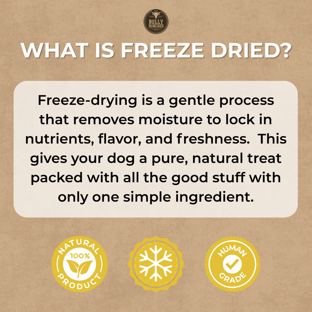 An informational graphic on a kraft-paper background explaining what freeze-dried means for dog treats. The text reads: 'WHAT IS FREEZE DRIED?' followed by a boxed definition about removing moisture and locking in nutrients, flavor, and freshness.
