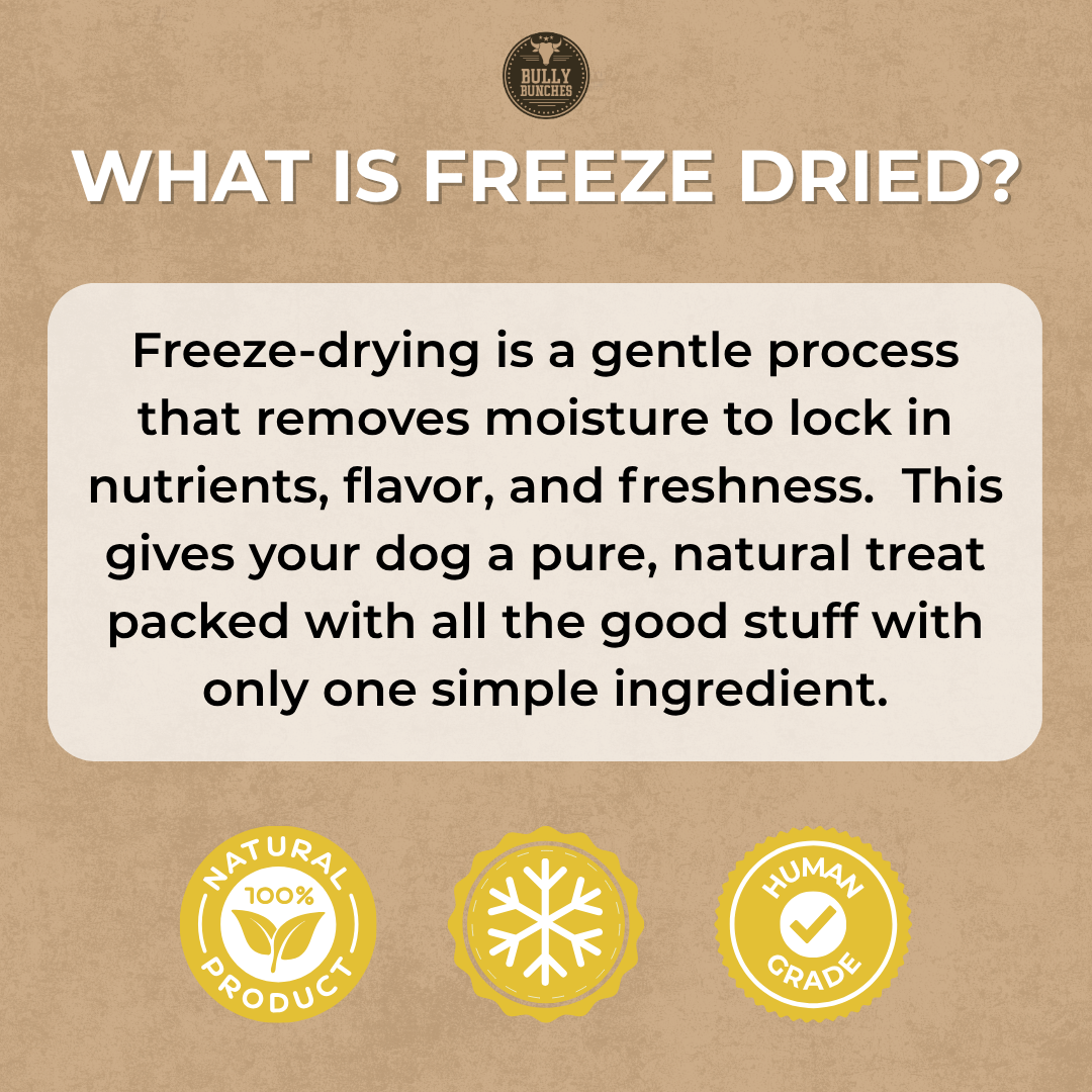 An informational graphic on a kraft-paper background explaining what freeze-dried means for dog treats. The text reads: 'WHAT IS FREEZE DRIED?' followed by a boxed definition about removing moisture and locking in nutrients, flavor, and freshness.
