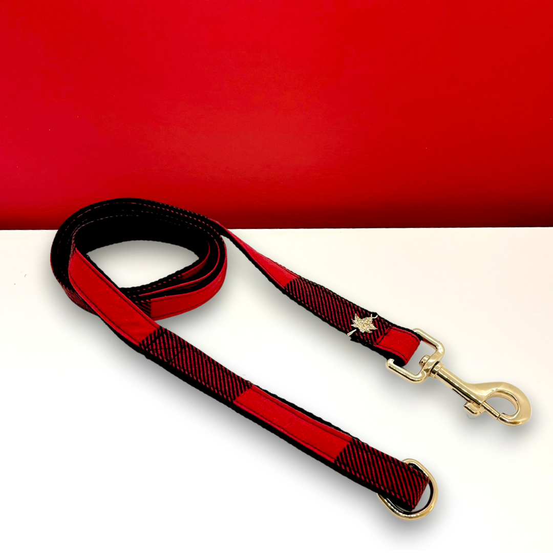 Red and black checkered dog leash with gold hardware on a red background
