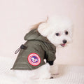 Small white dog wearing a green jacket with a brand logo on a light background