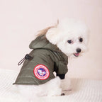 Small white dog wearing a green jacket with a brand logo on a light background