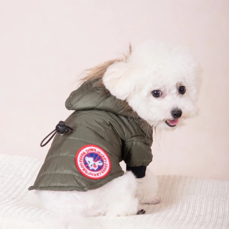 Small white dog wearing a green jacket with a brand logo on a light background