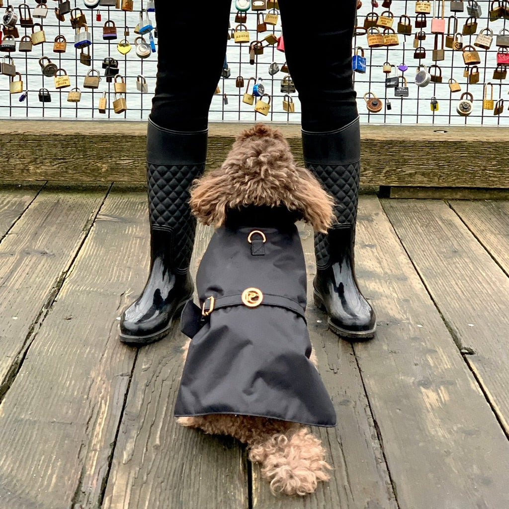 Dog wearing a black raincoat standing on a wooden floor with a person in black boots and pants in the background.