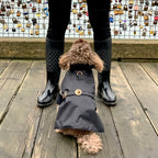 Dog wearing a black raincoat standing on a wooden floor with a person in black boots and pants in the background.