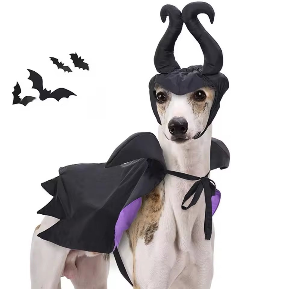 Dog wearing a black Maleficent costume with horns and cape on a white background