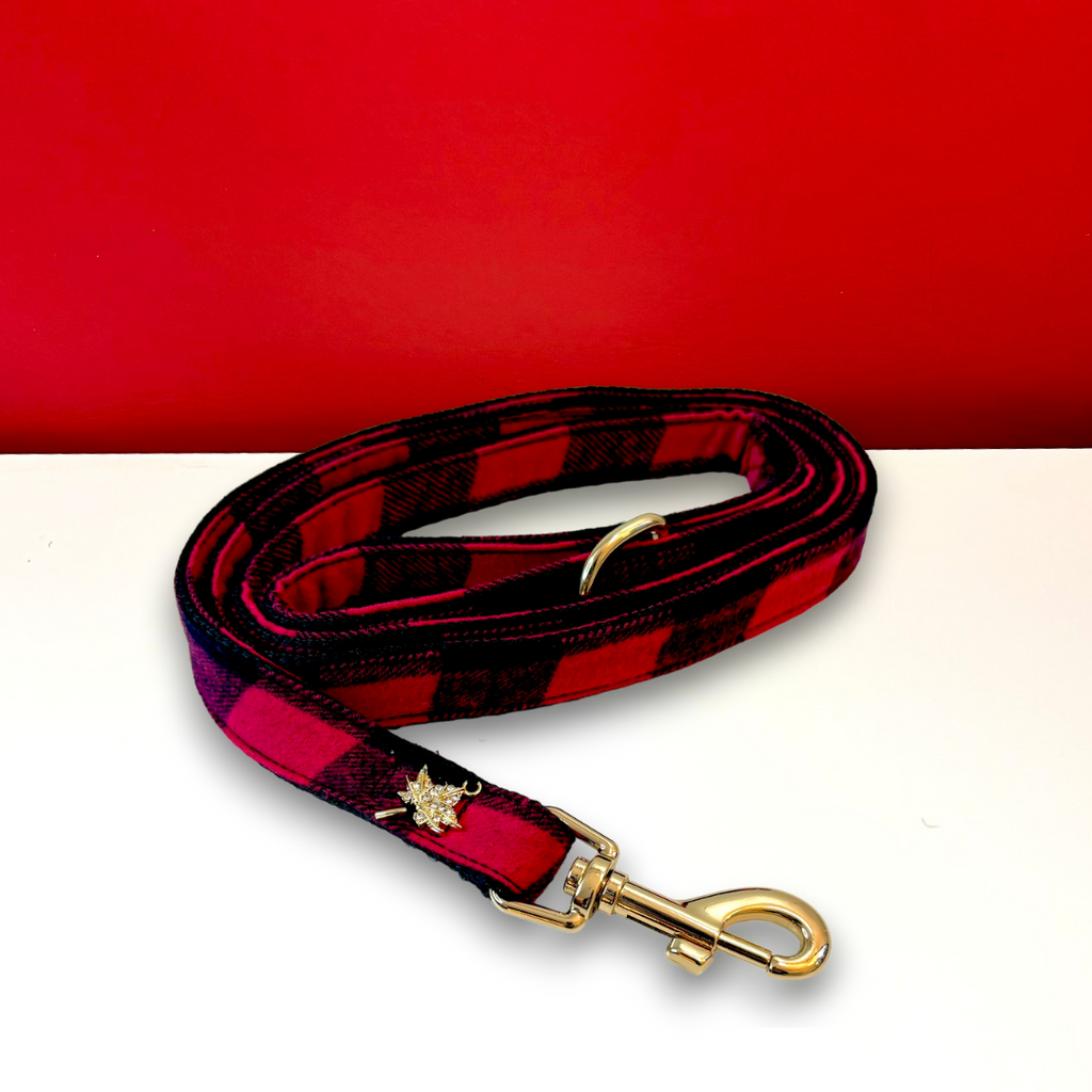Red and black plaid dog leash with gold clasp on a red background