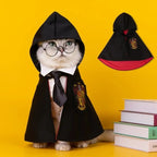 Cat wearing a Harry Potter-themed cape with a yellow background
