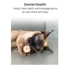 Cat playing with a dental health chew toy on a light-colored surface.