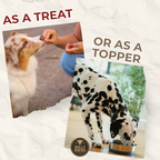 Two images of dogs interacting with a person, one labeled 'as a treat' and the other 'as a topper', with text and a brand logo.