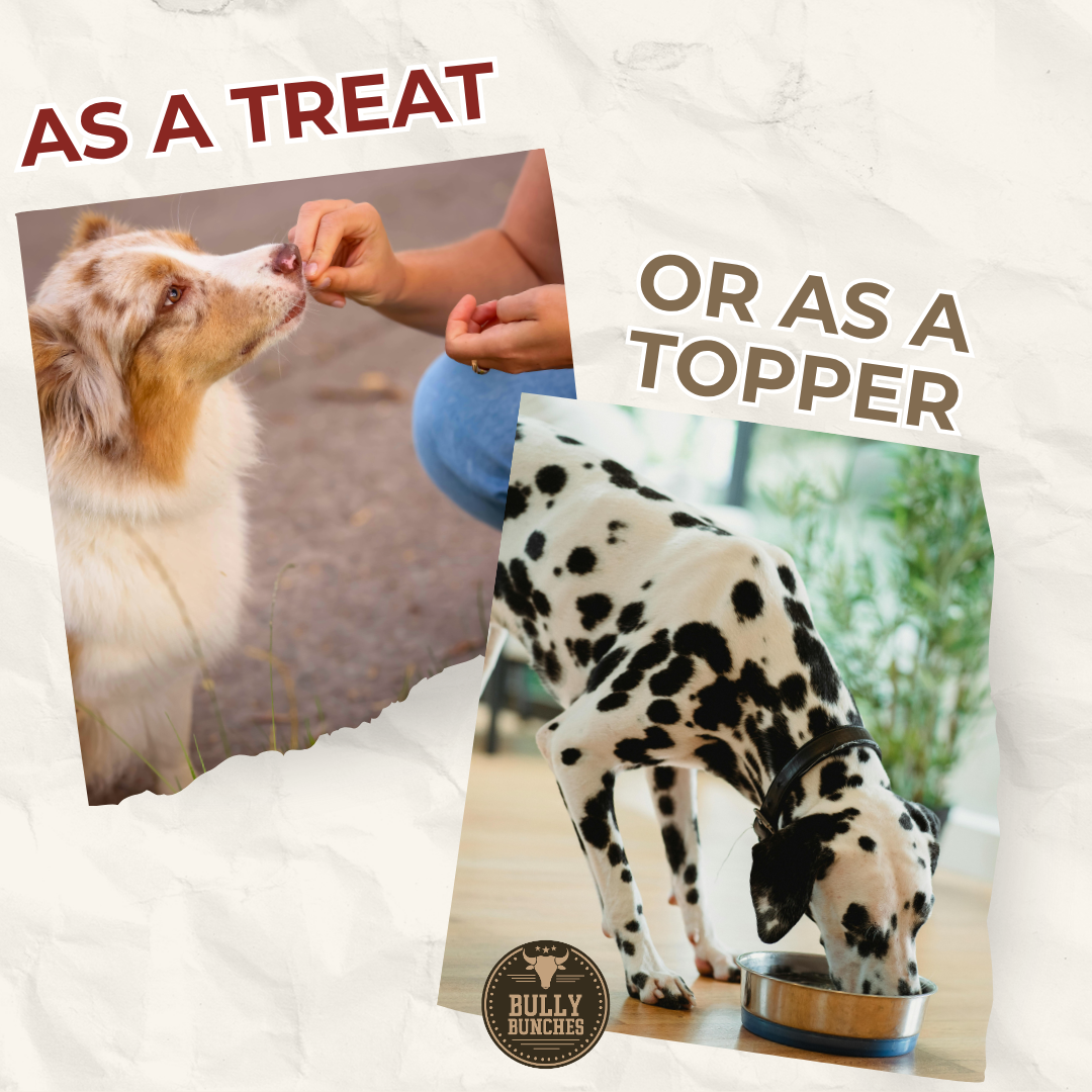 Two images of dogs interacting with a person, one labeled 'as a treat' and the other 'as a topper', with text and a brand logo.