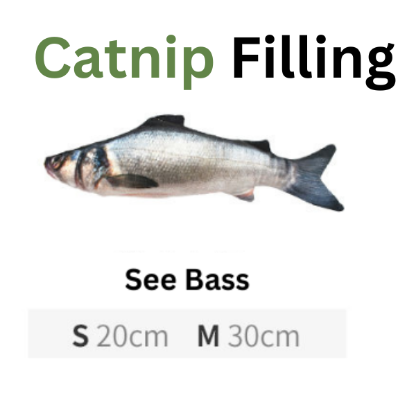 Fish with text indicating 'Catnip Filling' and 'See Bass' on a white background