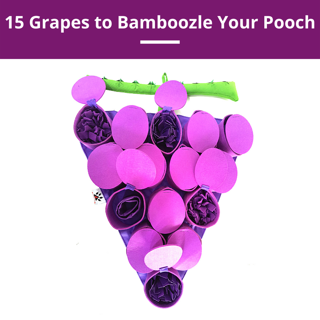 Purple grape-shaped dogsnuffle mat with a branch on a white background