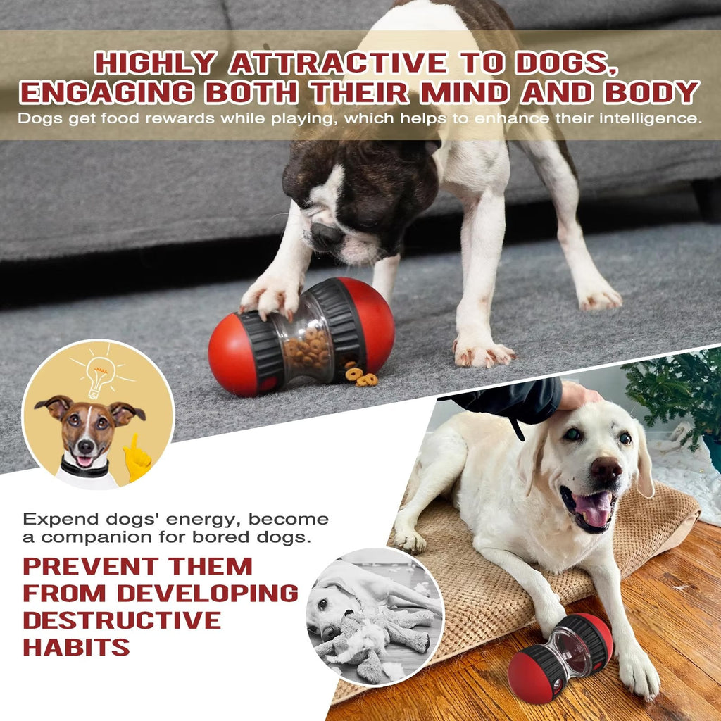 Dog playing with a toy, promoting mental and physical engagement for dogs.