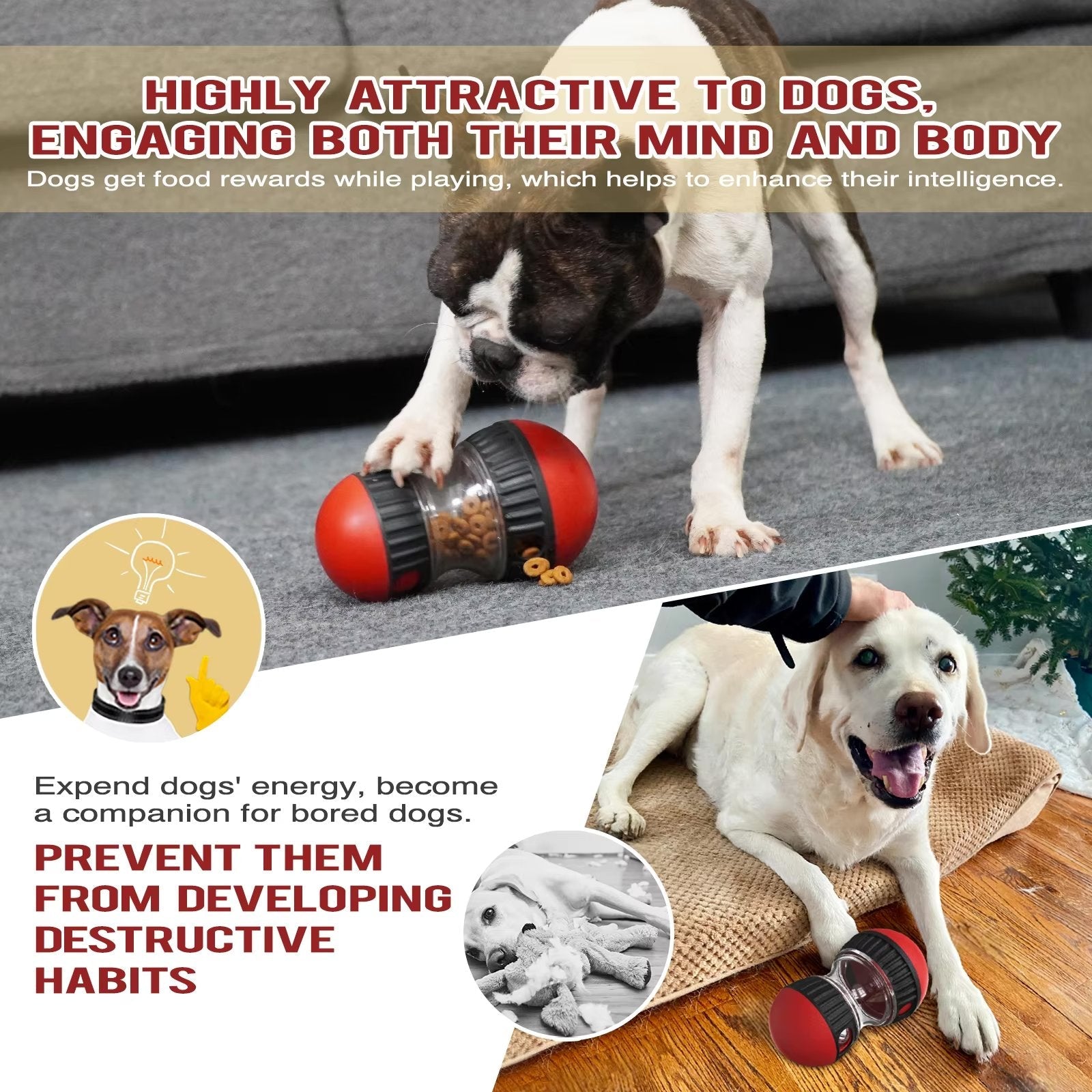 Dog playing with a toy, promoting mental and physical engagement for dogs.