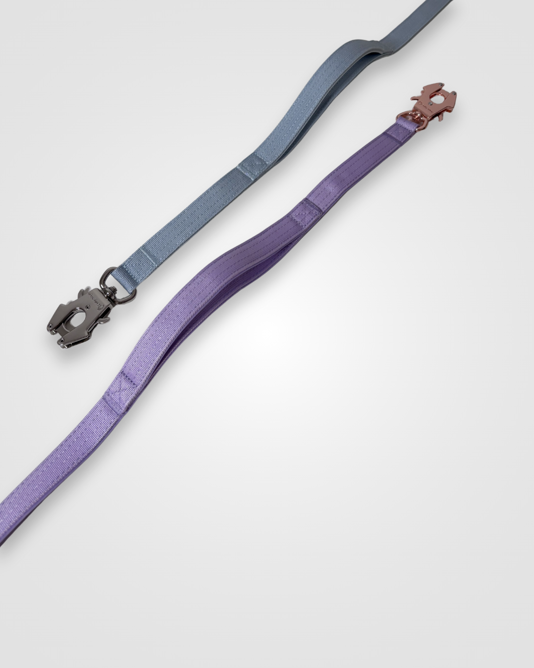 Two dog leashes, one purple and one gray, on a light gray background.