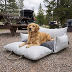Dog lying on a large outdoor pet bed with a campsite in the background