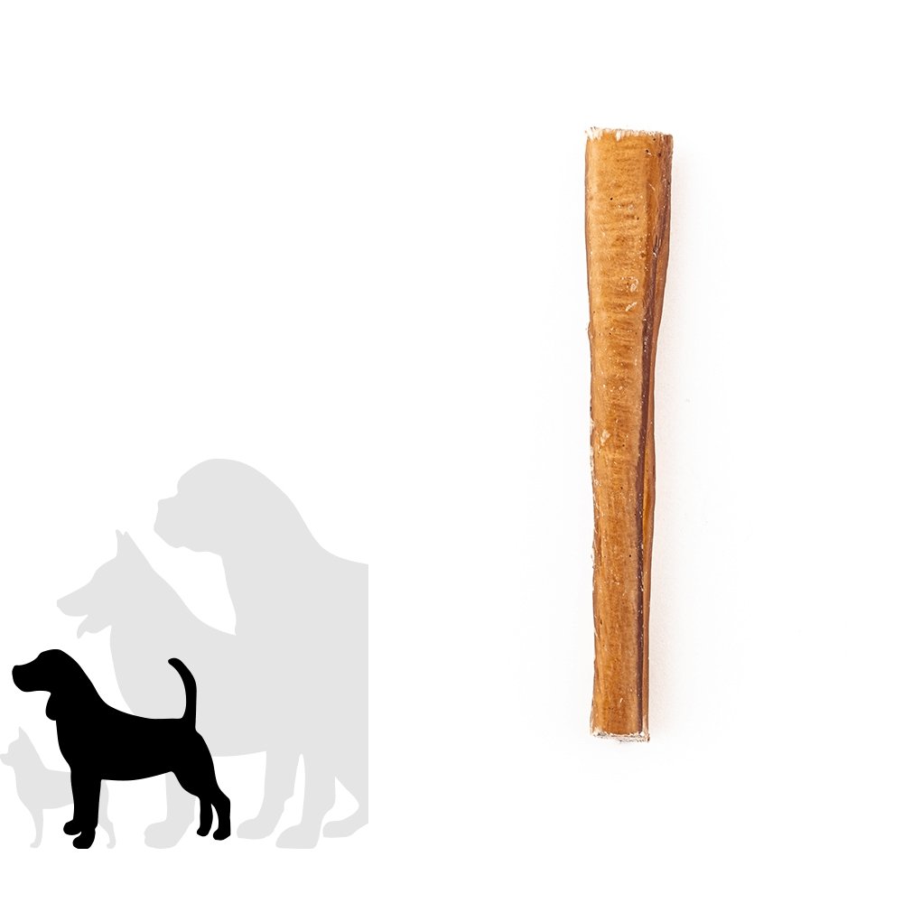 Dog chew treat next to a silhouette of a dog on a white background
