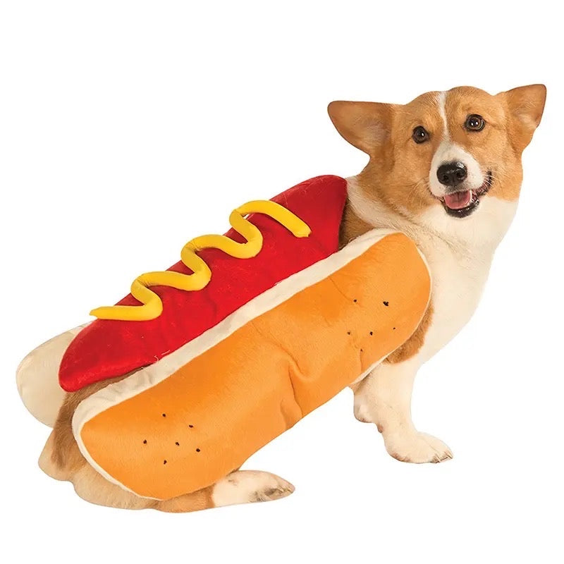 Dog wearing a hot dog costume with a white background