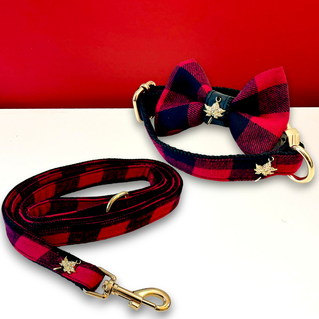 Red and black checkered dog collar and leash set on a red background