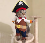 Cat in a pirate costume standing on a cat tree