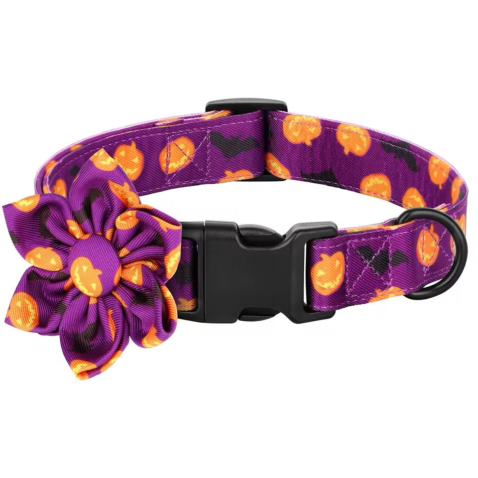 Halloween-themed dog collar with purple and orange pumpkins and flowers on a white background