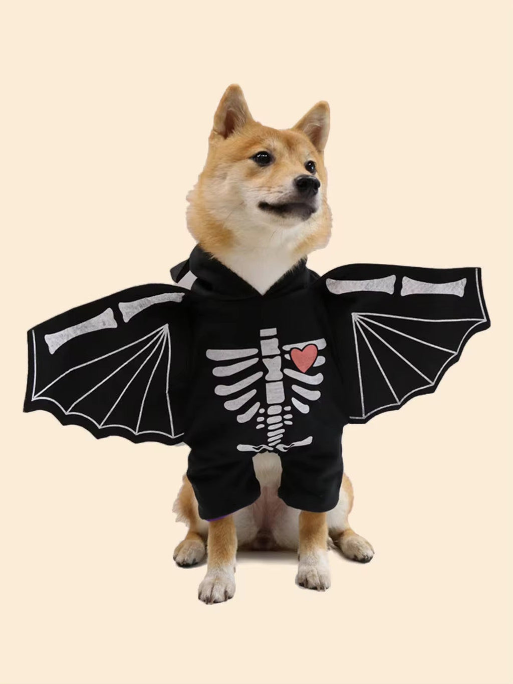 Dog wearing a black skeleton costume with bat wings on a beige background