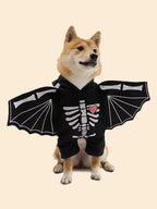 Dog wearing a black skeleton costume with bat wings on a beige background
