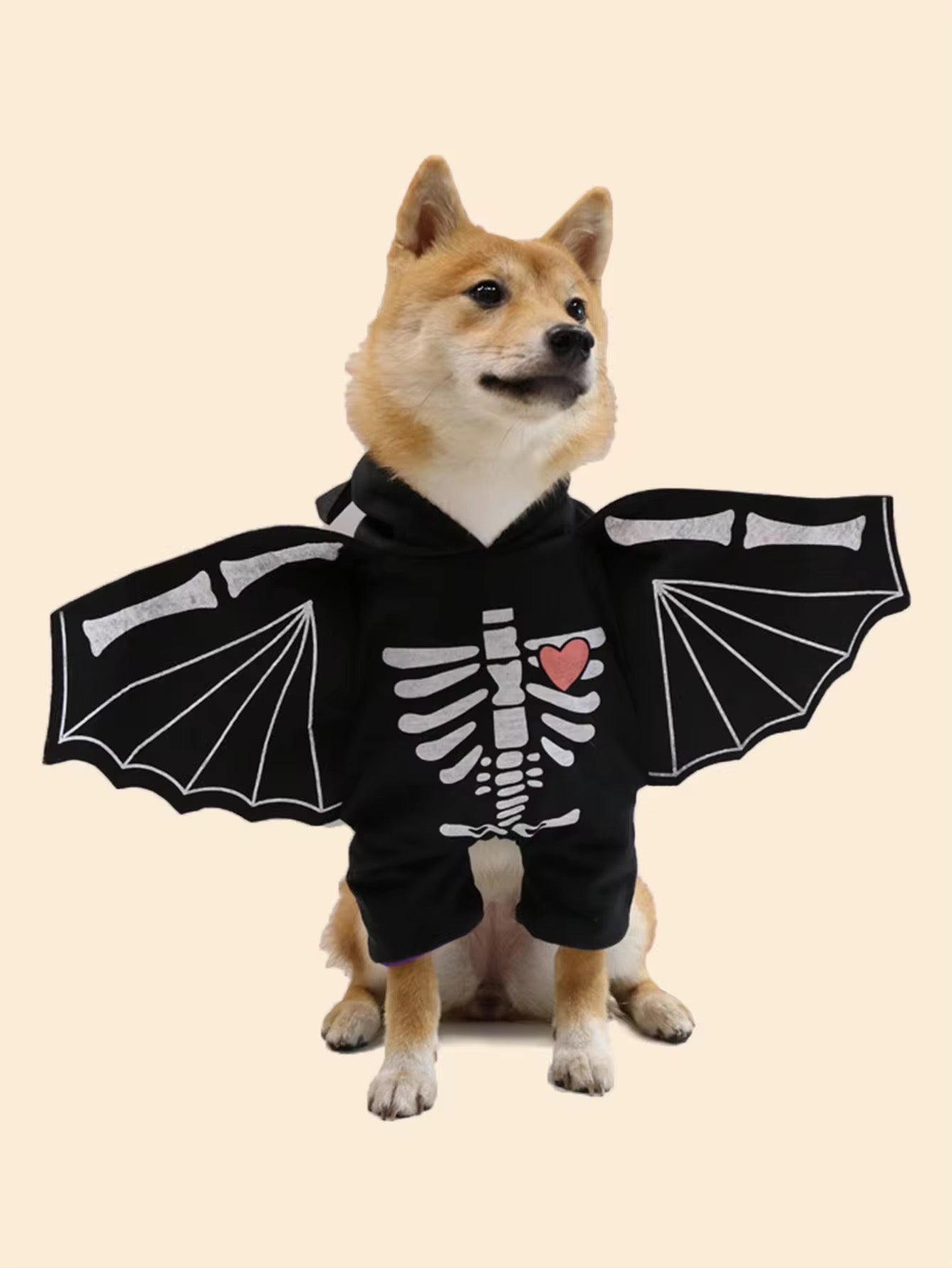 Dog wearing a black skeleton costume with bat wings on a beige background