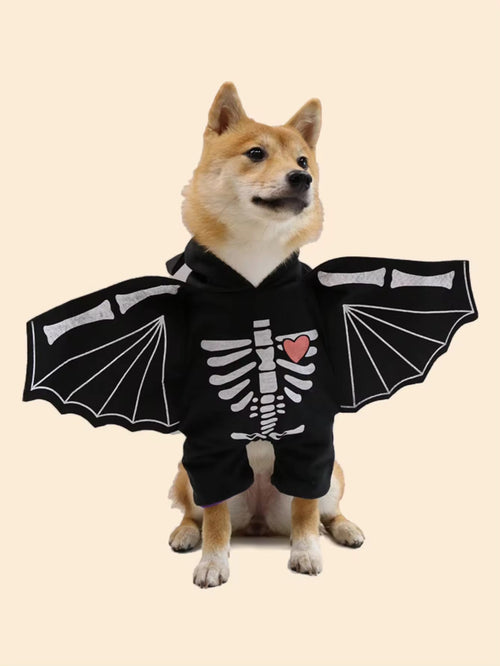 Dog wearing a black skeleton costume with bat wings on a beige background