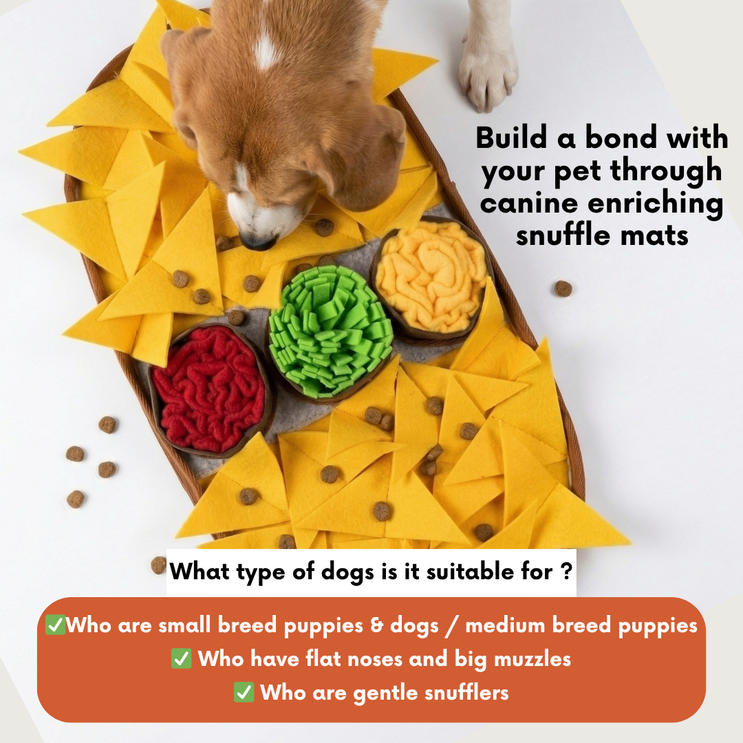 Dog interacting with a snuffle mat filled with food, promoting bonding through enrichment activities.