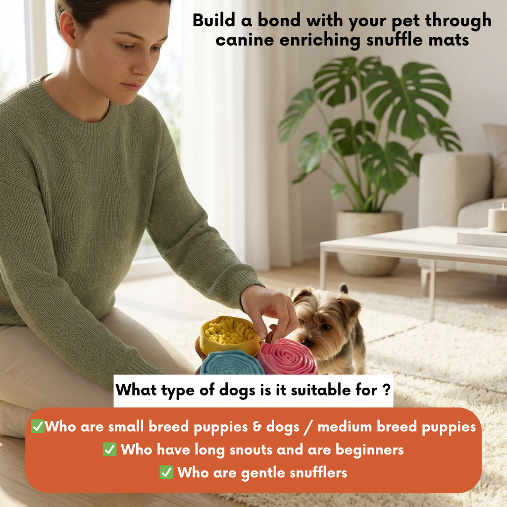 Woman playing with a dog using snuffle mats in a living room.